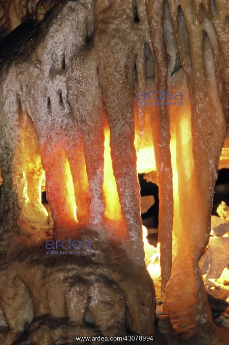 : Stalactites, Mammoth Cave, KY : Stalactites, Mammoth Cave, KY