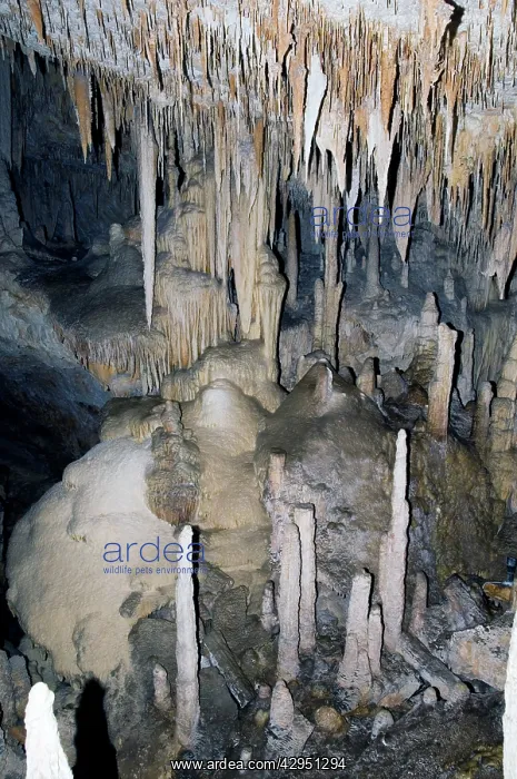 : Stalactites and stalagmites in Mammoth Cave : Stalactites and stalagmites in Mammoth Cave