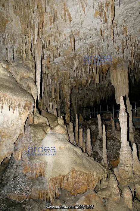  : Stalactites and stalagmites in Mammoth Cave