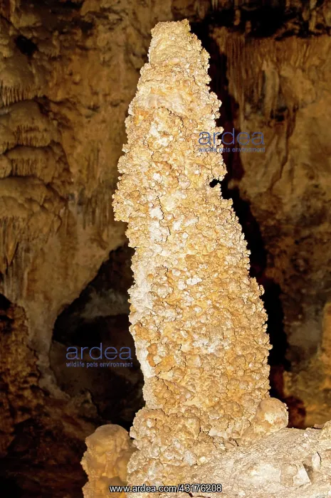 : Stalagmite Formation in Carlsbad Caverns : Stalagmite Formation in Carlsbad Caverns