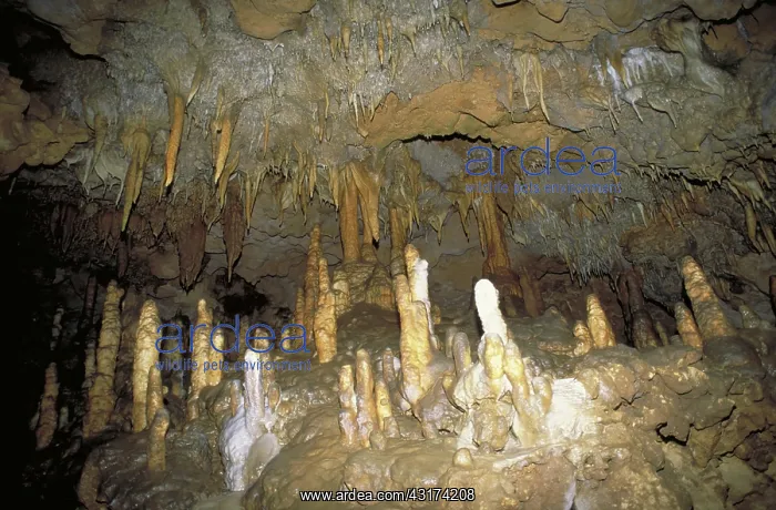  : Stalagmite formations