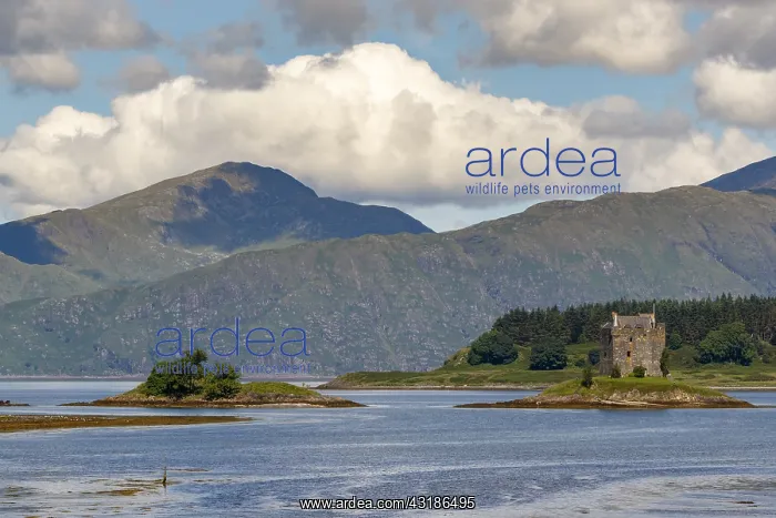 : Stalker Castle - Appin, Scotland, United Kingdom : Stalker Castle - Appin, Scotland, United Kingdom