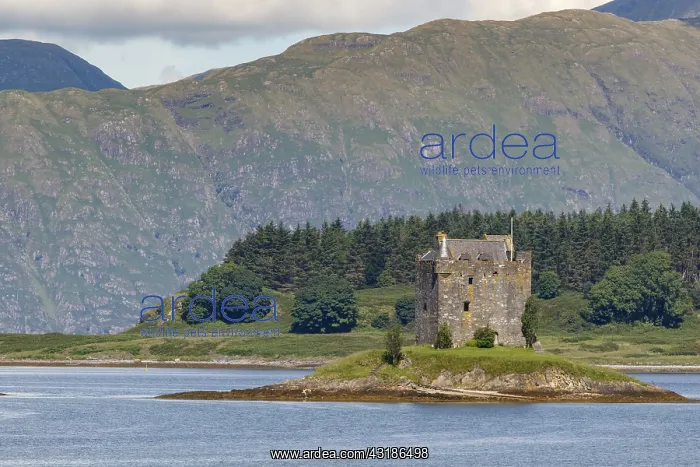 : Stalker Castle - Appin, Scotland, United Kingdom : Stalker Castle - Appin, Scotland, United Kingdom