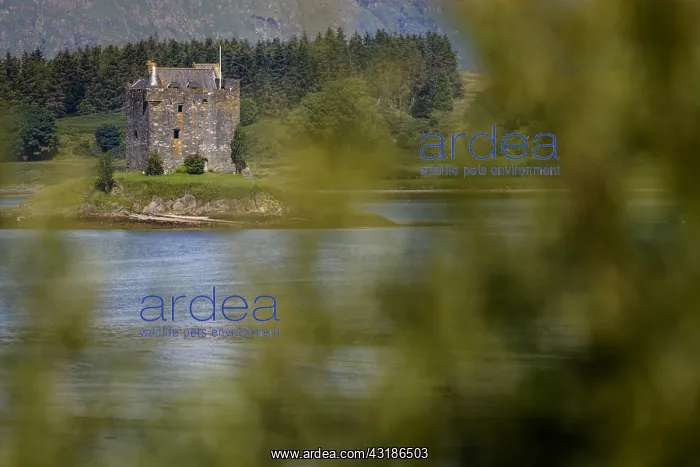 : Stalker Castle - Appin, Scotland, United Kingdom : Stalker Castle - Appin, Scotland, United Kingdom