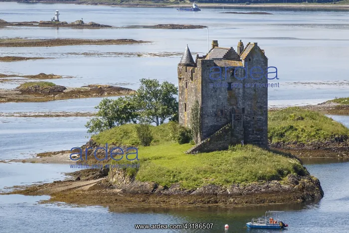 : Stalker Castle - Appin, Scotland, United Kingdom : Stalker Castle - Appin, Scotland, United Kingdom
