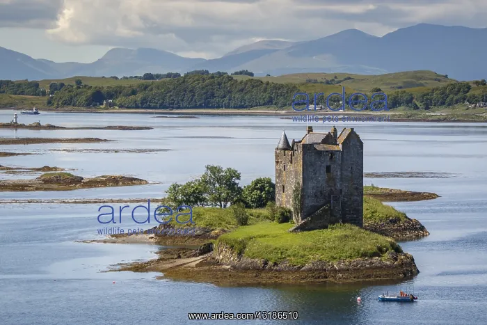 : Stalker Castle - Appin, Scotland, United Kingdom : Stalker Castle - Appin, Scotland, United Kingdom