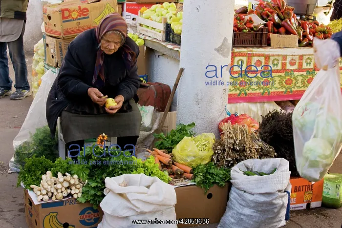 : Stall-holder with vegetables and herbs at Sigishoara : Stall-holder with vegetables and herbs at Sigishoara