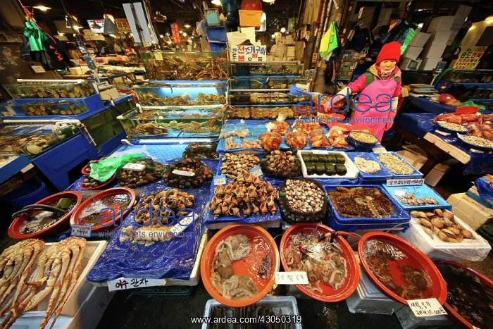 : Stalls at Noryangjin Fish and Seafood Market in Seoul, K : Stalls at Noryangjin Fish and Seafood Market in Seoul, K