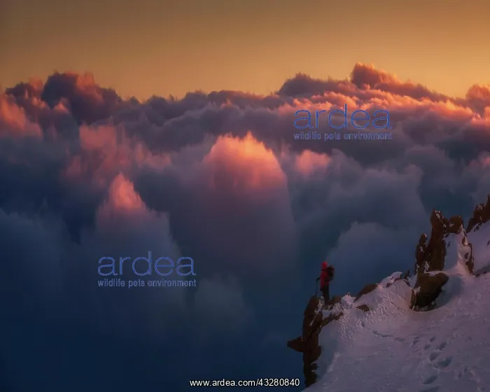 : Standing above the clouds. One of the most beautiful : Standing above the clouds. One of the most beautiful