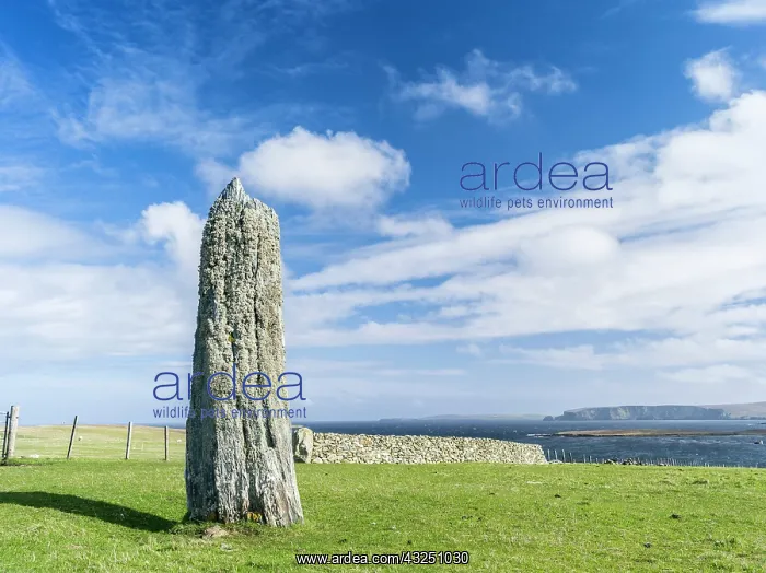 : Standing Stone of Clivocast, Unst island : Standing Stone of Clivocast, Unst island