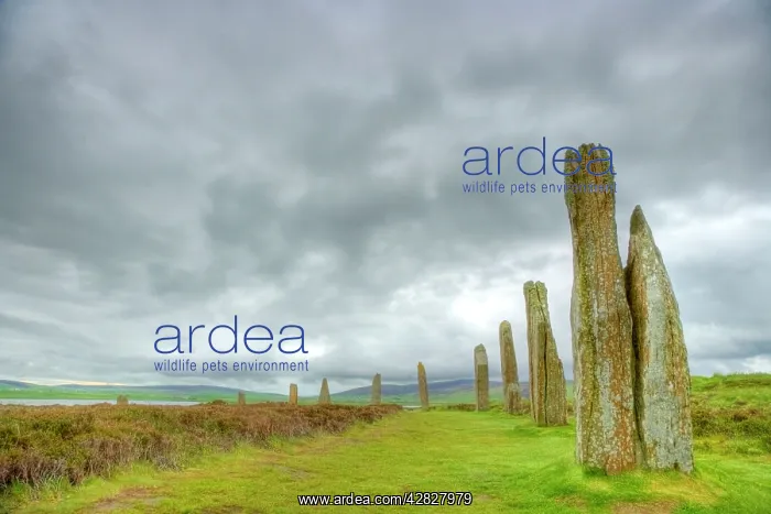 : Standing Stones : Standing Stones