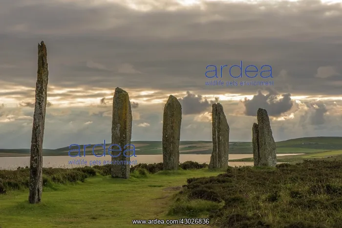 : Standing Stones : Standing Stones