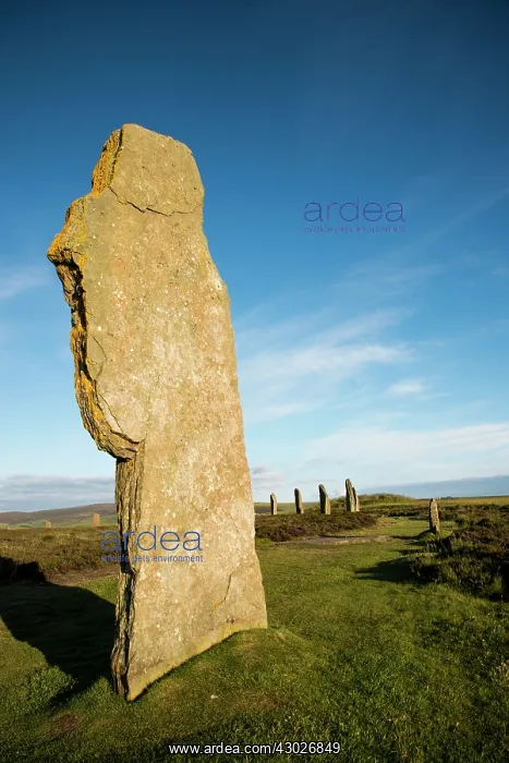 : Standing Stones : Standing Stones