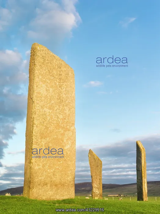 : Standing Stones of Stenness, a UNESCO World : Standing Stones of Stenness, a UNESCO World