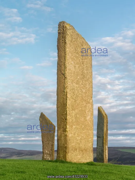 : Standing Stones of Stenness, a UNESCO World : Standing Stones of Stenness, a UNESCO World