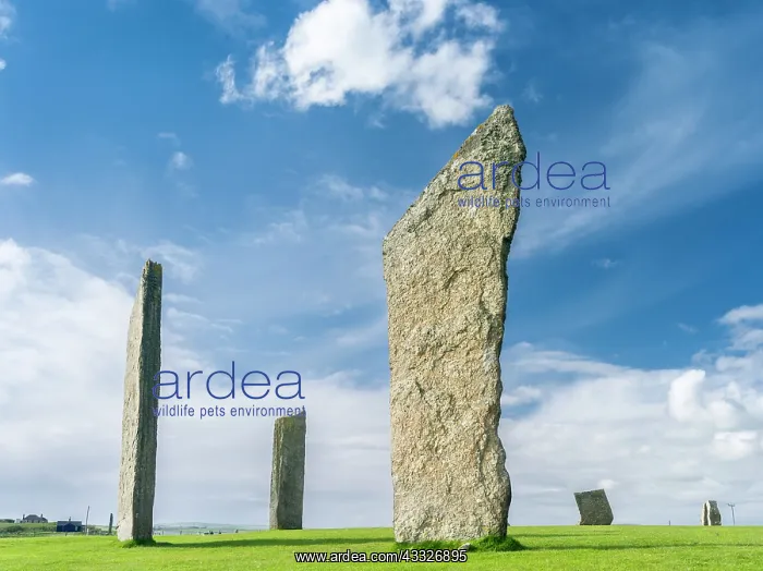 : Standing Stones of Stenness, a UNESCO World : Standing Stones of Stenness, a UNESCO World