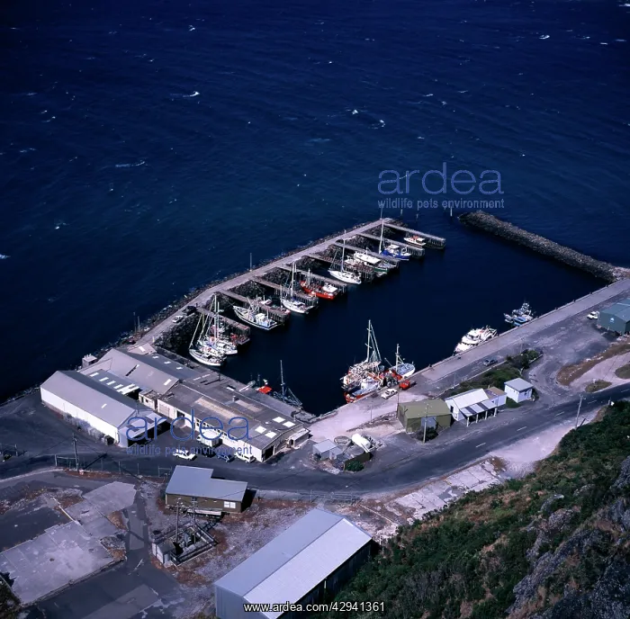 : Stanley fishing wharf from the Nut. Northwest Tasmania : Stanley fishing wharf from the Nut. Northwest Tasmania