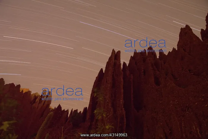 : Star trails over the red rocks and badlands near Tupiza : Star trails over the red rocks and badlands near Tupiza