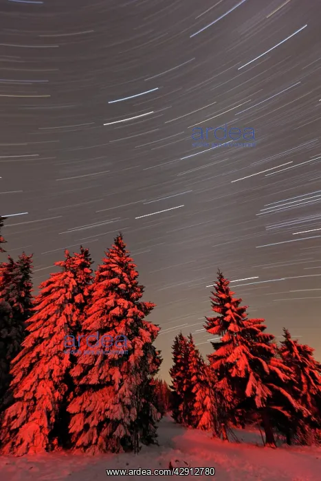 : Star trails - in winter sky - Hoher Meissner National park : Star trails - in winter sky - Hoher Meissner National park