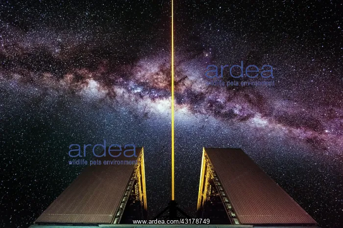: Star Wars - Laser fired by the UT4 tower at the : Star Wars - Laser fired by the UT4 tower at the