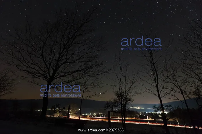 : Starlit Sky - and car headlight trails - village in winter : Starlit Sky - and car headlight trails - village in winter
