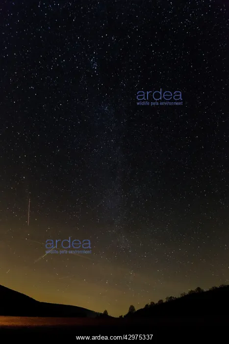 : Starlit Sky - in winter : Starlit Sky - in winter