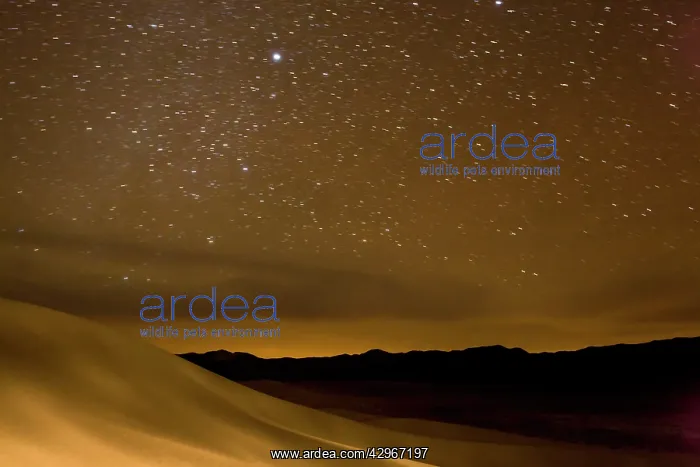 : Starry night sky over Eureka sand-dunes, high dunes : Starry night sky over Eureka sand-dunes, high dunes