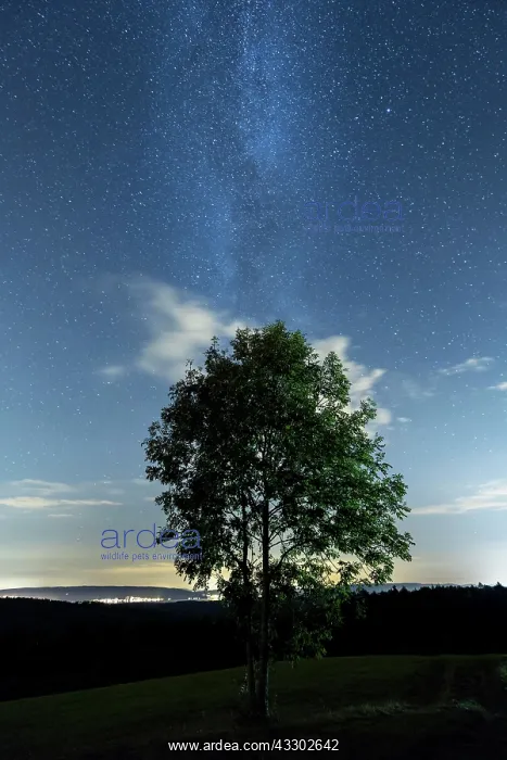: Starry sky with Milky Way at the Rebkap lookout : Starry sky with Milky Way at the Rebkap lookout
