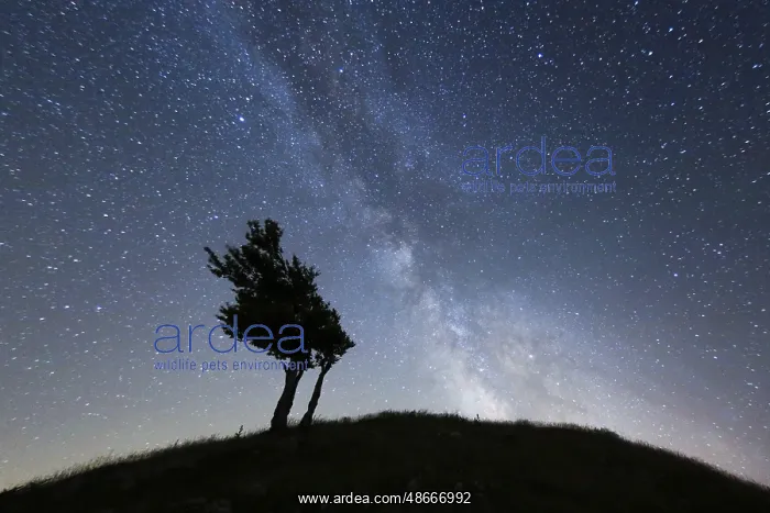 : Starry sky with milky way, Switzerland, Europe : Starry sky with milky way, Switzerland, Europe
