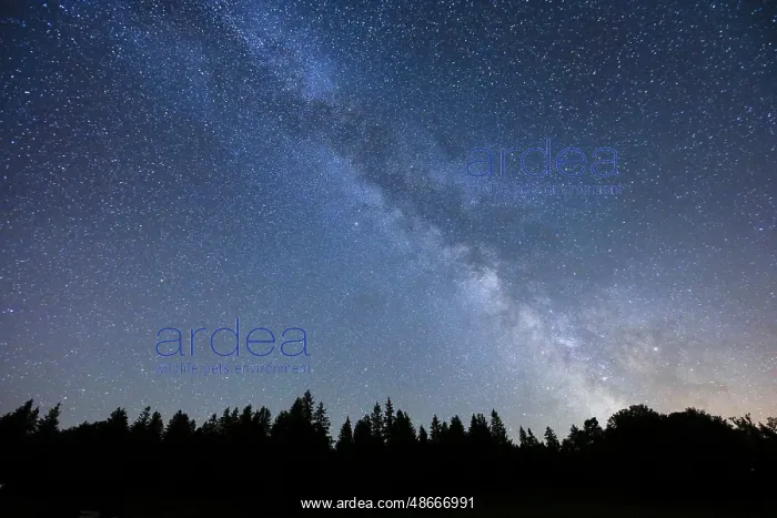 : Starry sky with milky way, SwitzerlandStarry sky with milky : Starry sky with milky way, SwitzerlandStarry sky with milky