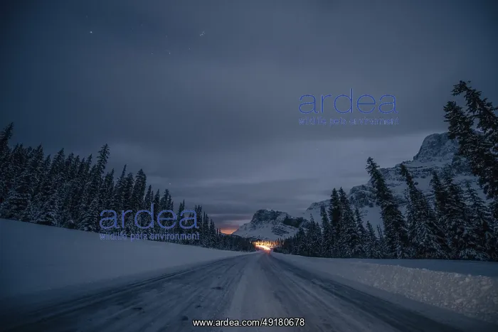 : Starry sky during a winter road trip on the Icefields Parkway with lots of snow and ice : Starry sky during a winter road trip on the Icefields Parkway with lots of snow and ice