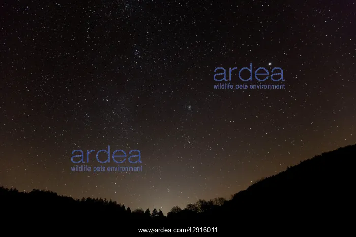 : Stars at night - showing Milky Way and Venus in winter : Stars at night - showing Milky Way and Venus in winter