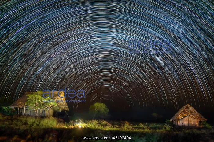 : Startrail of 250 shots A night in the savannah : Startrail of 250 shots A night in the savannah