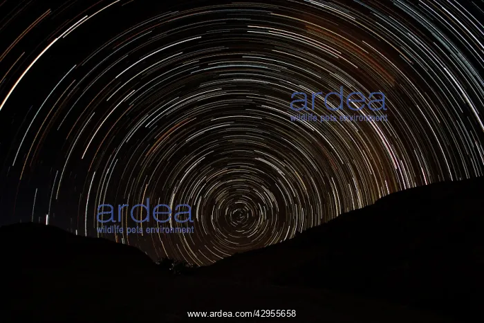 : Startrails - near the Brandberg Mountain : Startrails - near the Brandberg Mountain
