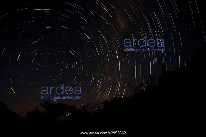: Startrails - near the Brandberg Mountain : Startrails - near the Brandberg Mountain