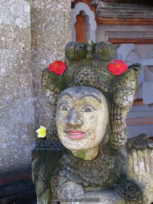  : Statue