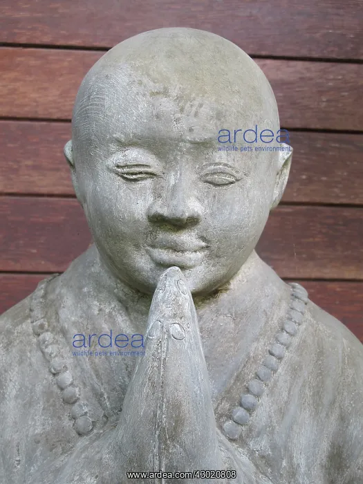  : Statue
