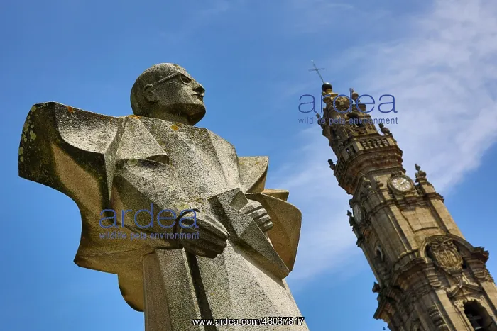 : Statue of Antonio Ferreira Gomes and the Clerigos : Statue of Antonio Ferreira Gomes and the Clerigos