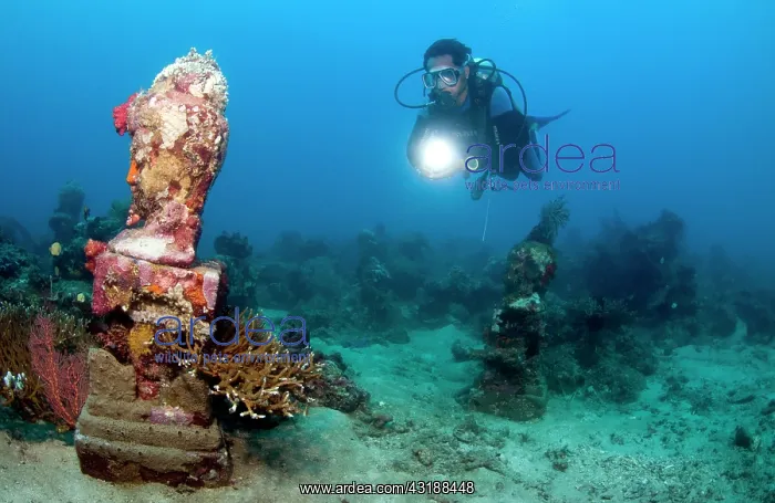 : Statue with coral growth on it : Statue with coral growth on it