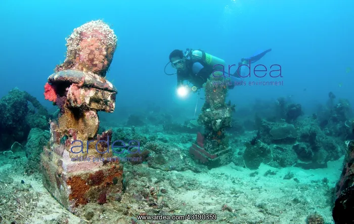 : Statue with coral growth on it : Statue with coral growth on it