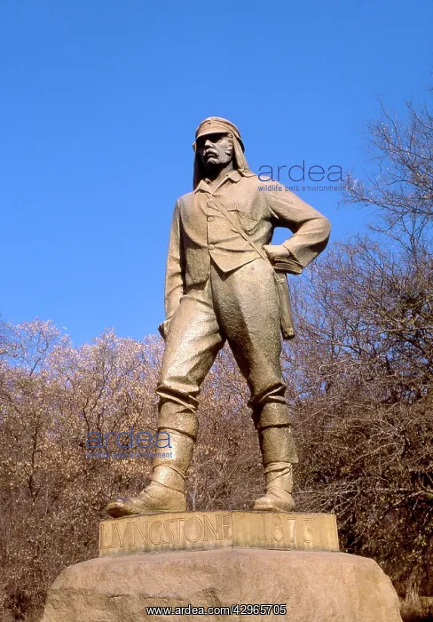 : The statue of David Livingstone beside the Victoria : The statue of David Livingstone beside the Victoria