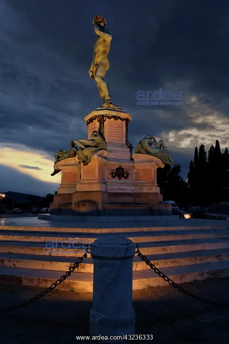 : Statue of David at the Piazza Michelangelo : Statue of David at the Piazza Michelangelo
