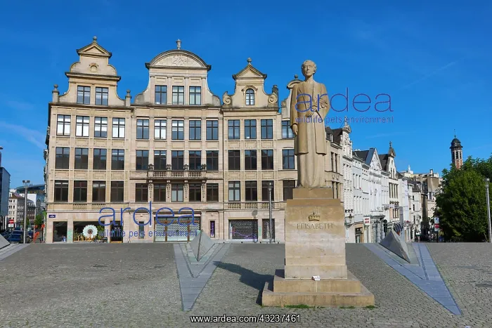 : Statue of Elisabeth of Bavaria, Queen of Belgium : Statue of Elisabeth of Bavaria, Queen of Belgium