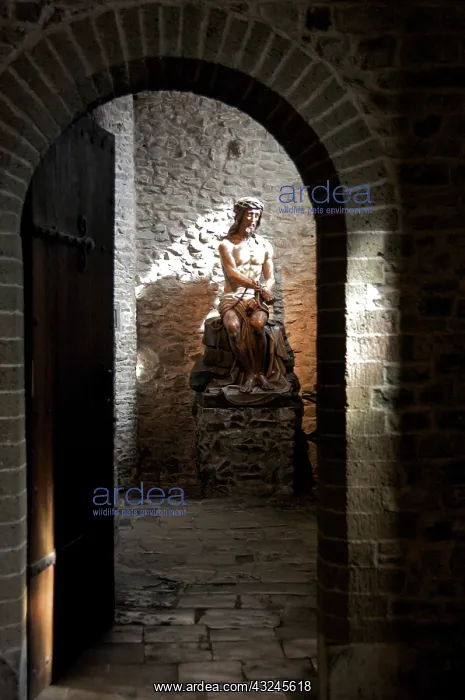 : Statue of Jesus at Heilig-Bloedbasiliek : Statue of Jesus at Heilig-Bloedbasiliek