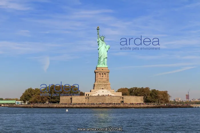 : Statue of Liberty, Liberty Island, New York City : Statue of Liberty, Liberty Island, New York City