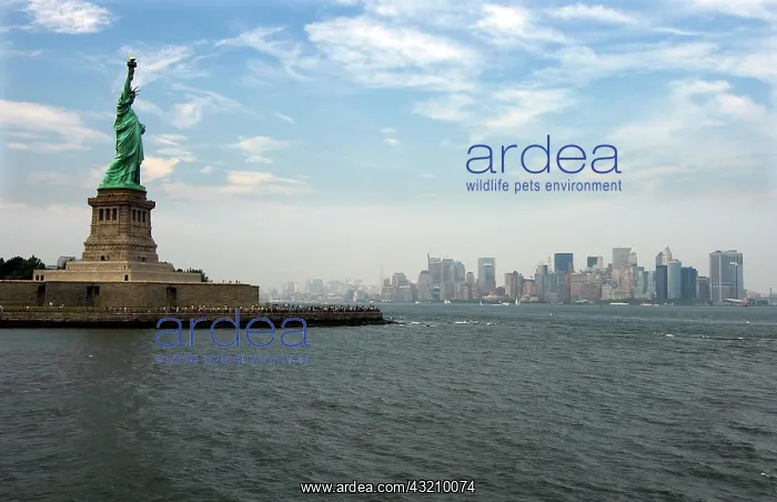: Statue of Liberty and the skyline of Manhattan : Statue of Liberty and the skyline of Manhattan