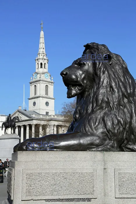 : Statue of lion by Landseer beneath Nelson's Column : Statue of lion by Landseer beneath Nelson's Column