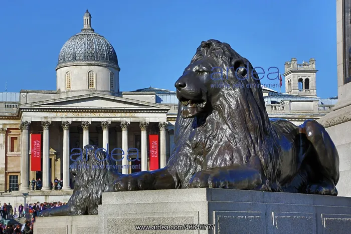: Statue of lion by Landseer beneath Nelson's Column : Statue of lion by Landseer beneath Nelson's Column