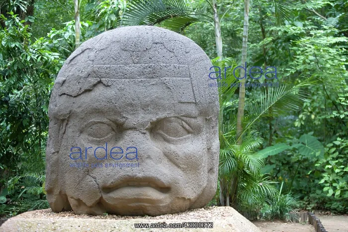 : Statue Olmec Old Warrior : Statue Olmec Old Warrior