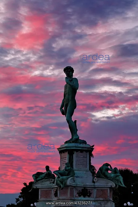 : Statue at sunrise, Michelangelo Overlook : Statue at sunrise, Michelangelo Overlook
